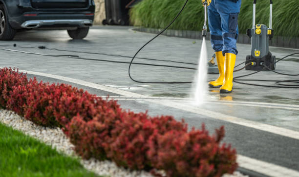 Best Driveway Pressure Washing  in West Pelzer, SC